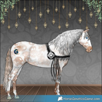 Horse Color:White Spotted Bay Pearl Splash 