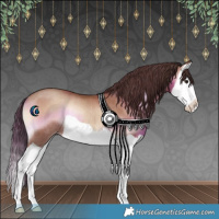 Horse Color:Classic Champagne Onyx Splash Rabicano 