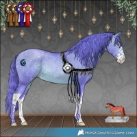 Horse Color:Watercolor White Spotted Brown Pearl 