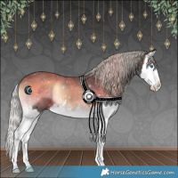 Horse Color:White Spotted Silver Brown Onyx Splash 