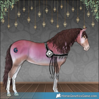 Horse Color:Sable Champagne Onyx 
