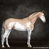 Horse Color:Bay Roan Dun Splash Frame Rabicano 