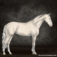 Horse Color:Silver Smoky Creme 