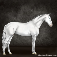 Horse Color:Silver Perlino Splash