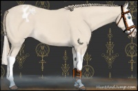 Horse Color:Smoky Creme Splash Varnish 