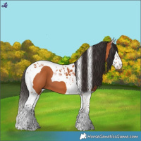 Horse Color:Bay Splash Tobiano 