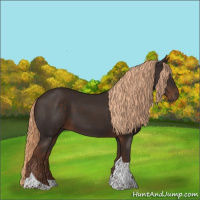 Horse Color:Liver Chestnut Tobiano
