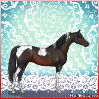 Horse Color:Brown Tobiano