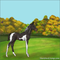 Horse Color:Liver Chestnut Tobiano 