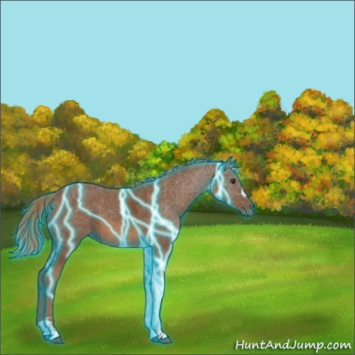 Horse Color:Thunderstruck Chestnut 