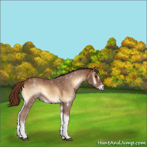 Horse Color:Red Onyx 