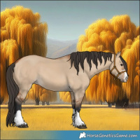 Horse Color:Bay Dun