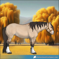 Horse Color:Bay Dun