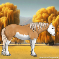 Horse Color:Palomino Splash 