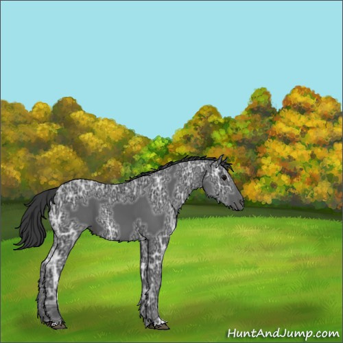 Horse Color:Black Ice 