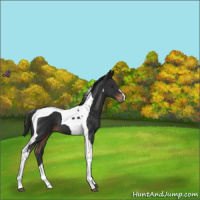 Horse Color:Liver Chestnut Tobiano 