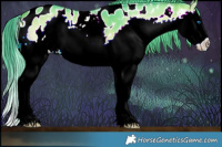 Horse Color:Watercolor Bay Onyx Splash Appaloosa 