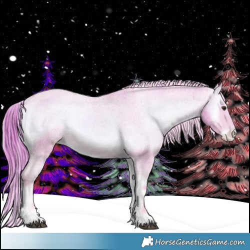 Horse Color:Watercolor Red Onyx Appaloosa