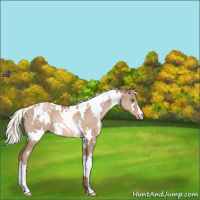 Horse Color:White Spotted Liver Chestnut Pearl Mushroom Varnish 