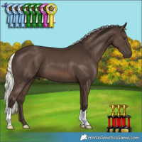 Horse Color:Liver Chestnut Mushroom 