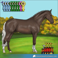 Horse Color:Liver Chestnut Mushroom 