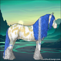 Horse Color:Watercolor Bay Onyx Appaloosa 