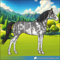 Horse Color:Brown Sabino