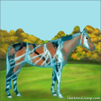 Horse Color:Void Thunderstruck Silver Bay Tobiano 