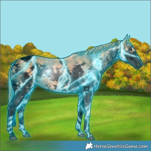 Horse Color:Void Thunderstruck Chestnut Splash Tobiano 