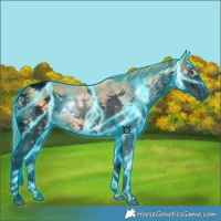 Horse Color:Void Thunderstruck Chestnut Splash Tobiano 