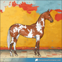 Horse Color:White Spotted Silver Bay 