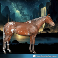 Horse Color:White Spotted Silver Bay Varnish