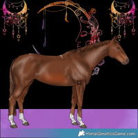 Horse Color:Chestnut Tobiano 