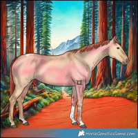 Horse Color:Red Dun Tobiano 