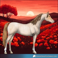 Horse Color:Bay Roan Pearl 