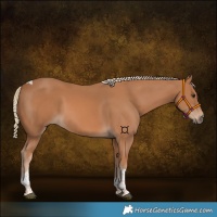 Horse Color:Chestnut Mushroom Tobiano 