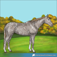Horse Color:Painted Silver Black Ice Tobiano
