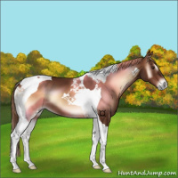 Horse Color:Red Onyx Tobiano