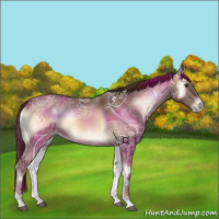 Horse Color:Red Onyx Ice 