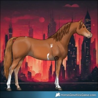 Horse Color:Chestnut Tobiano
