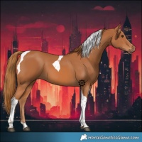 Horse Color:Chestnut Tobiano
