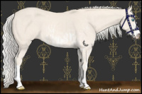 Horse Color:Cremello Sabino  and Cremello Sabino 