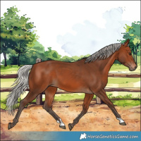 Horse Color:Silver Brown 