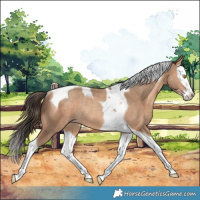 Horse Color:Amber Champagne Splash Tobiano Rabicano 