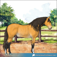 Horse Color:Buckskin Rabicano