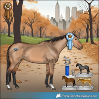 Horse Color:Bay Dun
