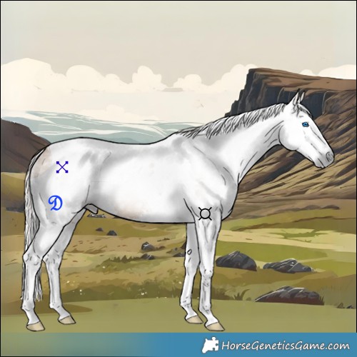 Horse Color:Gray Silver Bay Dun Splash Tobiano