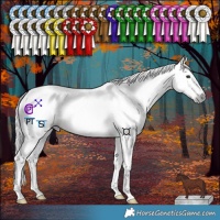 Horse Color:Gray Red Dun Tobiano 