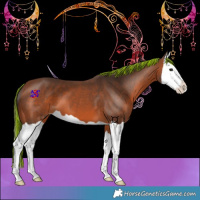 Horse Color:Painted Bay Splash 