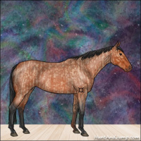 Horse Color:Bay Roan Dun and Bay Roan